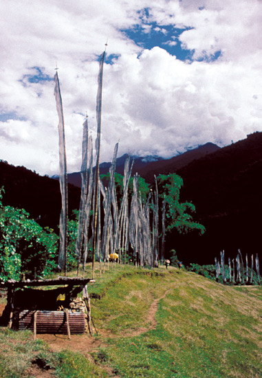 Prayer flags and stuppa at
Mankota village