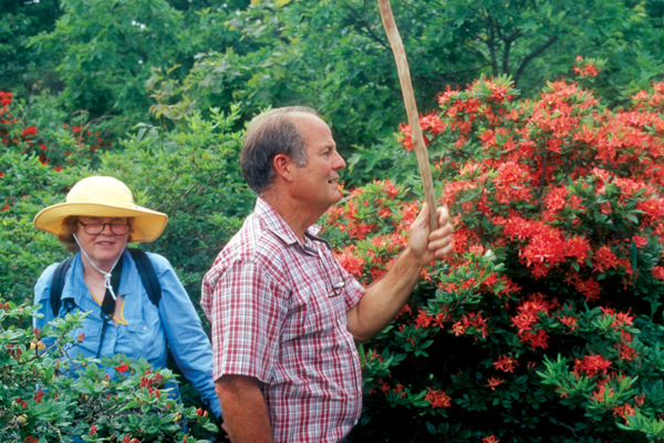 Sandra McDonald and Tom Nuccio
on Gregory Bald.