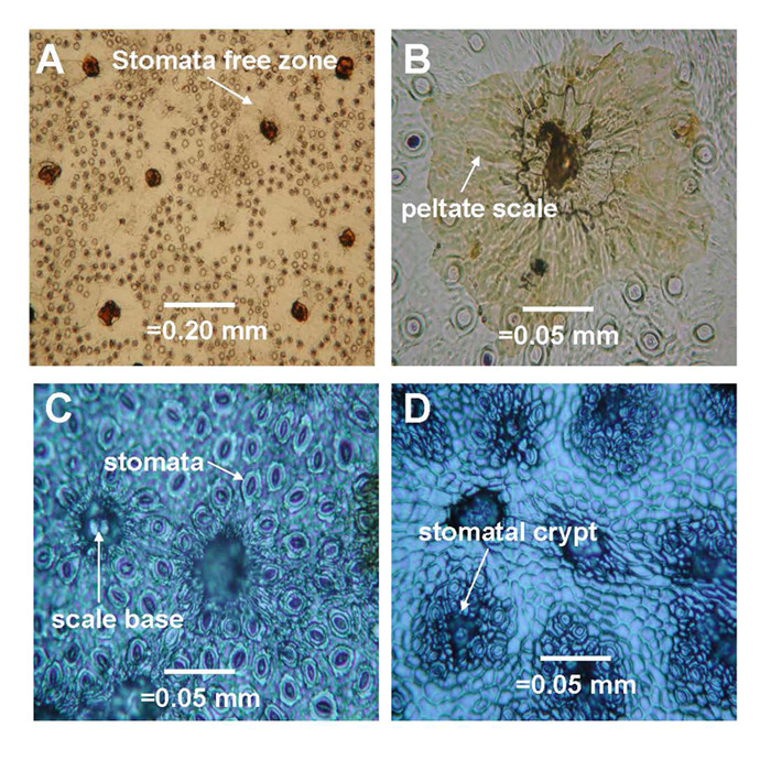 Figure 6.