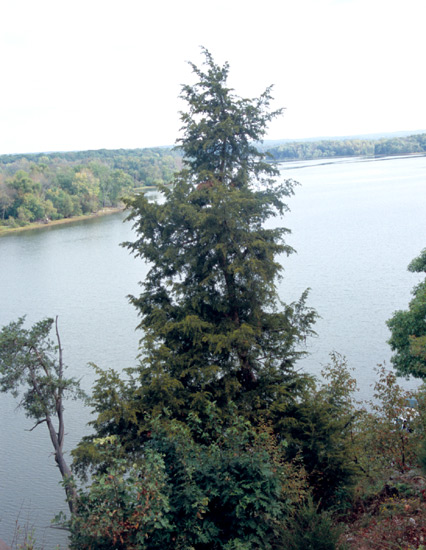 A view of the Elk River from
Elk Ridge.