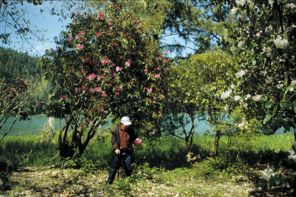 Galen Baxter in
the garden