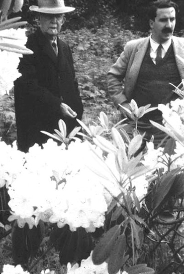 Dr. C.S. McKee and Desmond Muirhead
view some of the doctor's seedlings