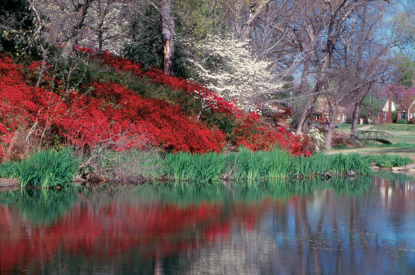 Woodward Park