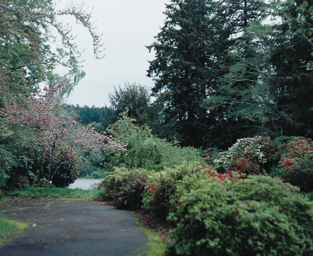 View along circle drive to Umpqua River