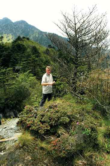 Barry Davidson and R. 
impeditum on Cang Shan.