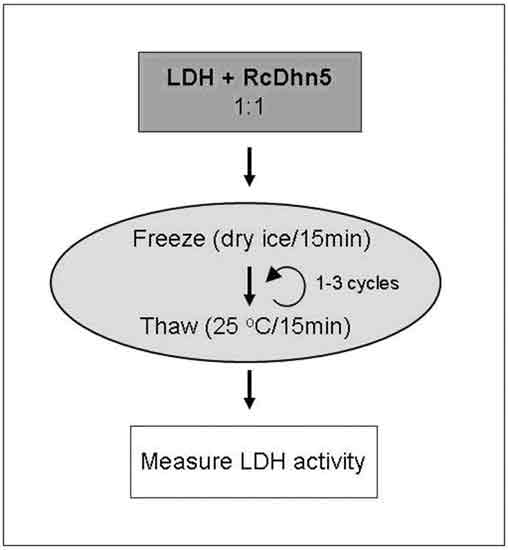 Fig 1.