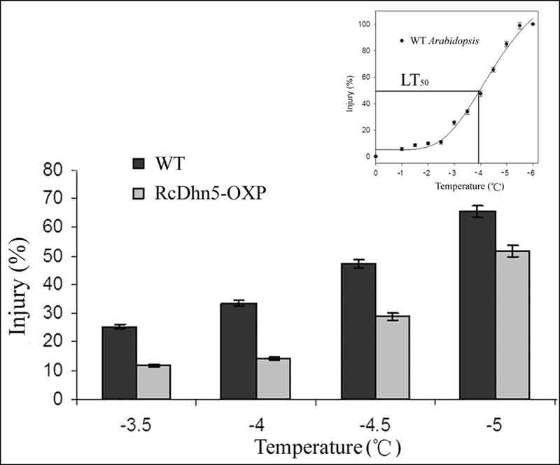 Fig 3.