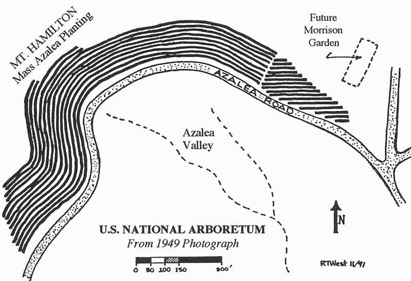 Sketch from 1949 aerial photograph of the National Arboretum.