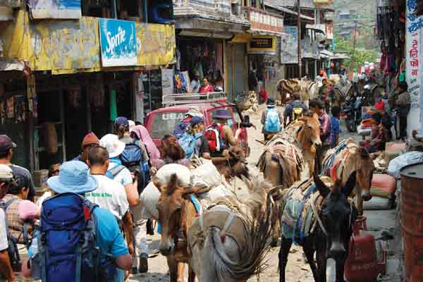 Trek begins at Naya Phul.