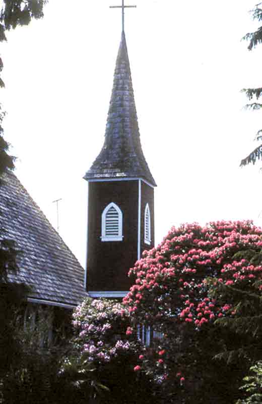 Rhododendron at Anglican church 
in Tofino, BC.