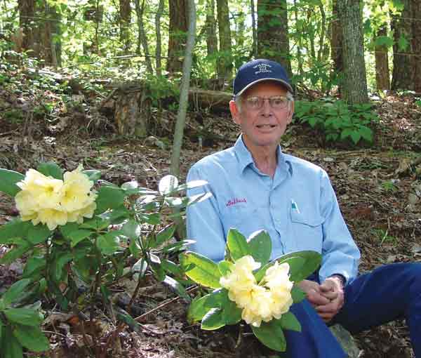 Delbert Brim with unnamed yellow hybrid