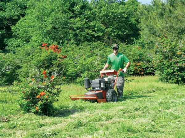 Mower at work on Gregory Bald.