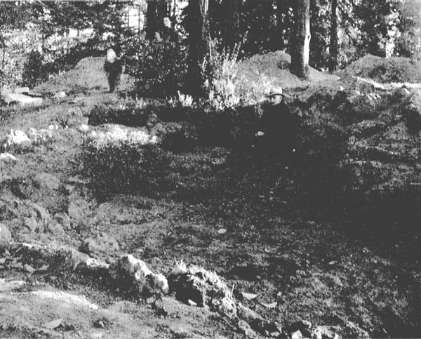 Rock Garden in Trial Garden 
at Crystal Lake Springs Island, Portland, Oregon