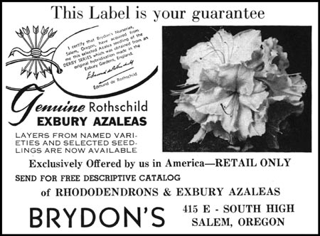 Brydon's Ad