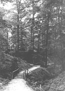 The National Arboretum