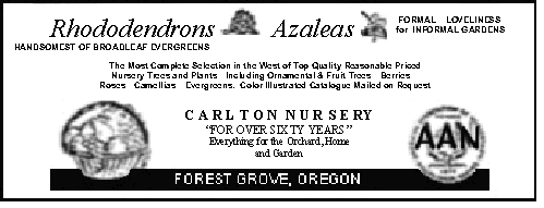 Carlton Advertisement