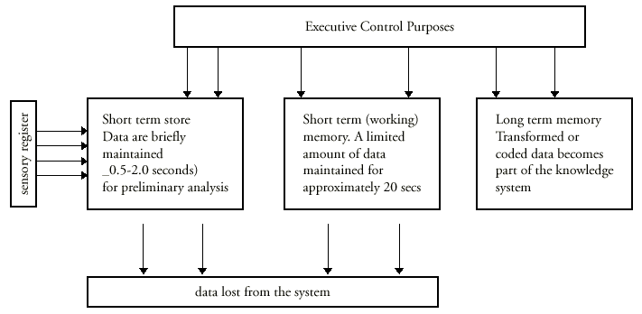 Graphic: Flow Chart