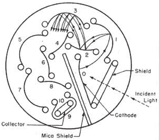  A schematic diagram of a photomultiplier