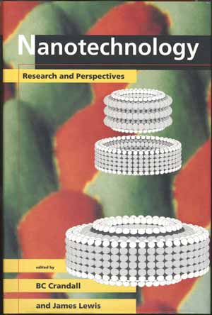 Photograph - Cover of the first Foresight-conference volume, combining an STMmeasurement and a computer-generated model.